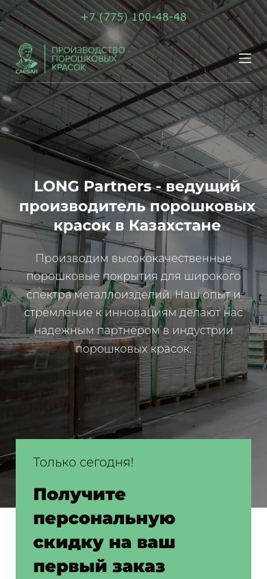 Long Partners · Порошковые краски mobile